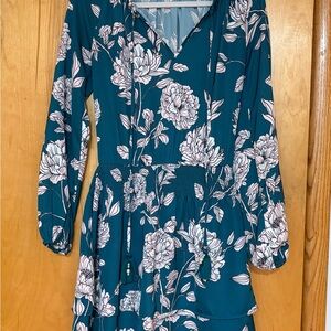 Boston Proper Teal Floral Long Sleeve Dress